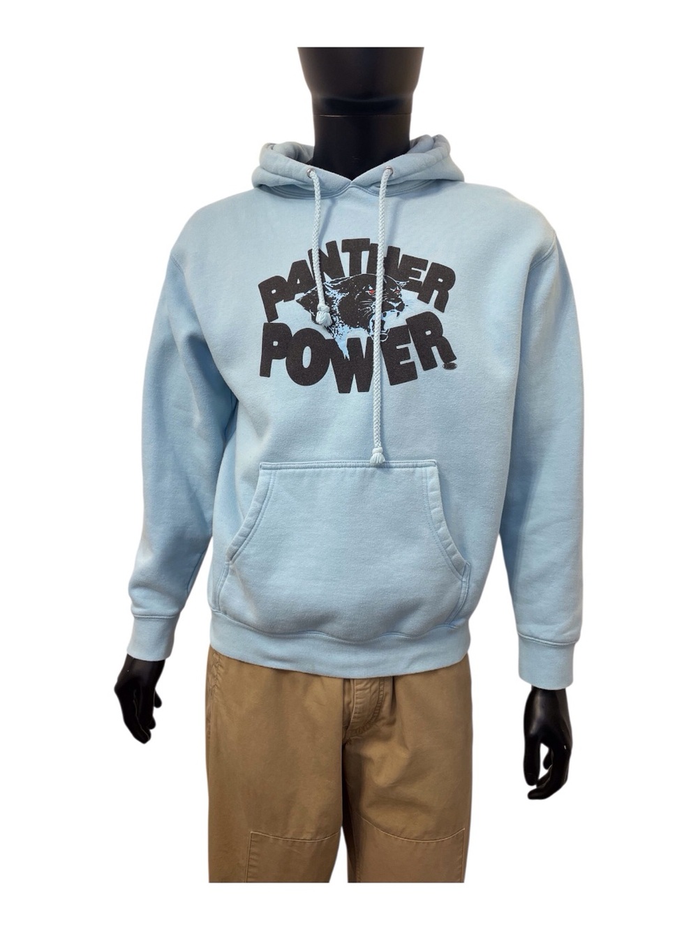 Heron Hues Panther Power Graphic Blue Men's Hoodie, M